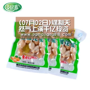 PG麻将登录入口