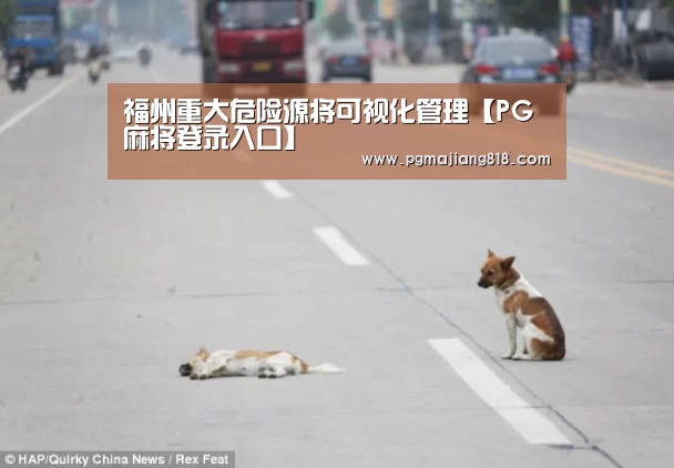 PG娱乐中心