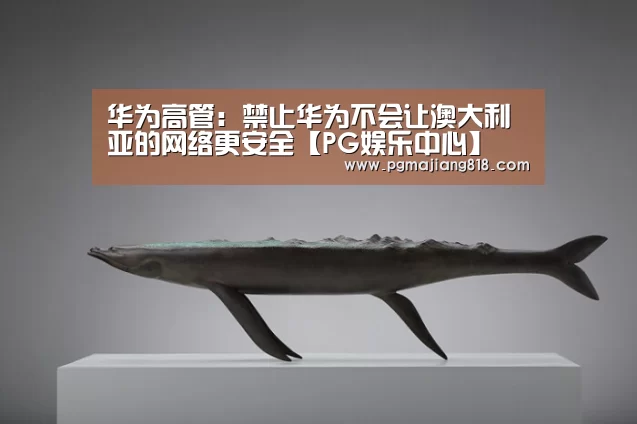 华为高管:禁止华为不会让澳大利亚的网络更安全【PG娱乐中心】(图1) PG娱乐中心