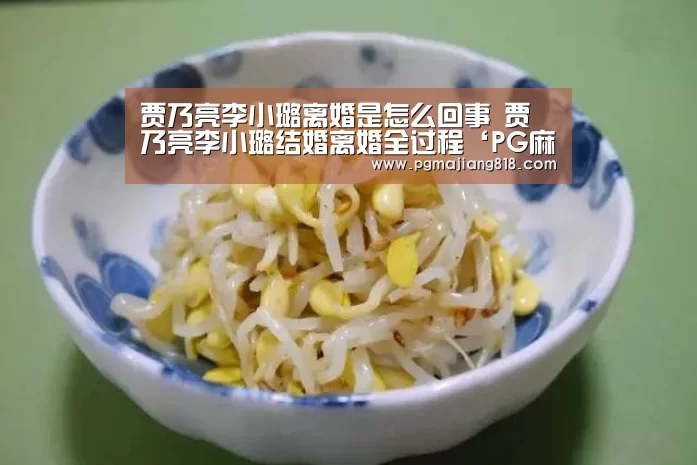 贾乃亮李小璐离婚是怎么回事 贾乃亮李小璐结婚离婚全过程‘PG麻将登录入口’(图3) PG电子最新地址