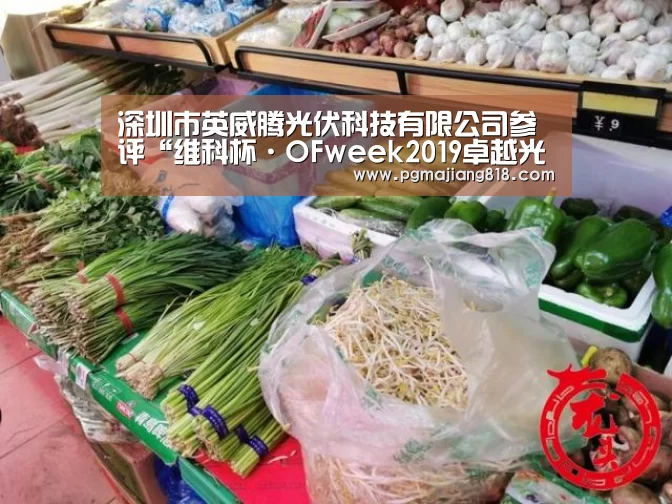 深圳市英威腾光伏科技有限公司参评“维科杯·OFweek2019卓越光伏逆变器供应商”|PG麻将登录入口(图4) PG电子最新地址