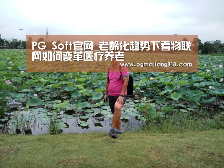 PG Soft官网_老龄化趋势下看物联网如何变革医疗养老(图3) PG Soft官网