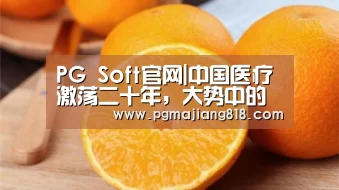 PG Soft官网|中国医疗激荡二十年,大势中的挣扎与创新(图2) PG电子最新地址