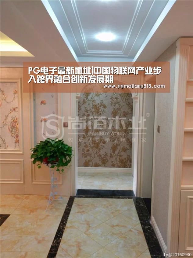 PG电子最新地址|中国物联网产业步入跨界融合创新发展期(图2) PG娱乐中心