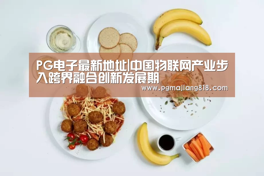PG电子最新地址|中国物联网产业步入跨界融合创新发展期(图4) PG麻将登录入口