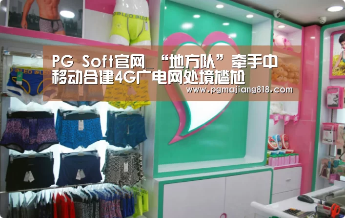 PG Soft官网_“地方队”牵手中移动合建4G广电网处境尴尬(图1) PG电子最新地址