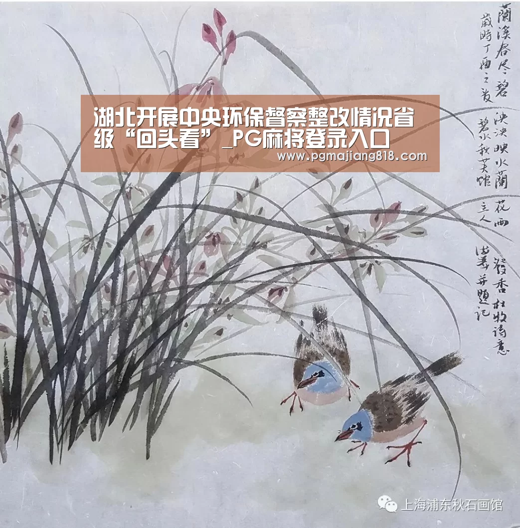 湖北开展中央环保督察整改情况省级“回头看”_PG麻将登录入口(图2) PG娱乐中心