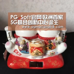 PG Soft官网|欧洲首家5G联合创新中心诞生记:Sunrise与华为5G合作的前世今生(图4) PG麻将登录入口